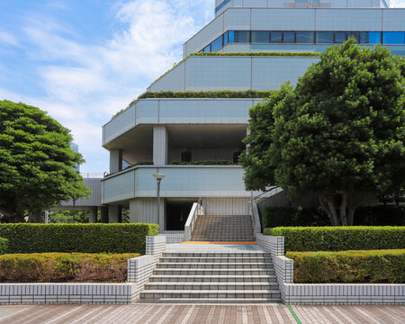オフィスビルのエントランスへと続く階段と植栽の風景
