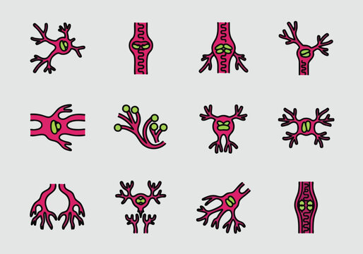 Neurons Brain Cells Illustration.