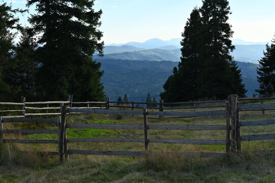 A rustic wooden log fence enclosing a mountain pasture in a rural alpine region. Tall dark green pine trees frame a scenic view of rolling blue mountain ridges stretching into the distance.