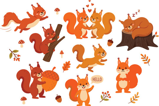 Cute squirrel cartoon character set with different actions like jumping sleeping holding acorn and loving couple isolated on white background.