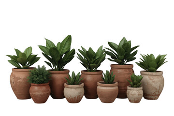 Fototapeta premium Grouping of various green potted plants in weathered terracotta pots, adding natural decor and fresh indoor greenery