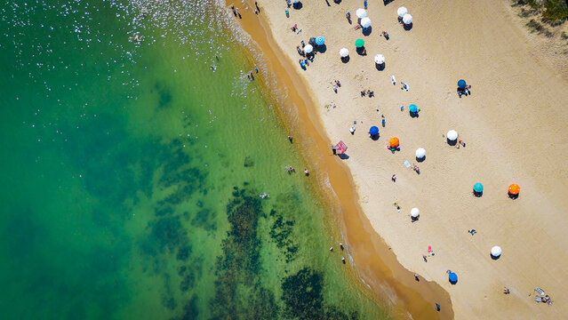 Top-down drone view of beach umbrellas, sunbathers and crystal-clear water along a sandy beach in Punta del Este, Uruguay, on a sunny summer day.