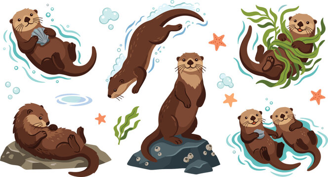 Cute sea otter vector illustration set showing marine animals swimming diving holding hands lying on rocks and tangled in kelp for ocean wildlife designs