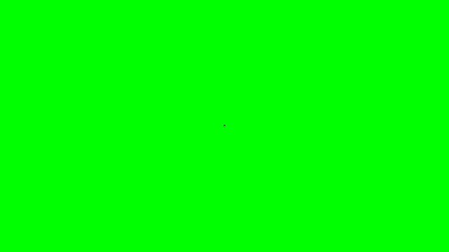3D Digital Calculator Animation with Receipt and Percentage Icon on Green Screen Background for Finance and Tax Concepts