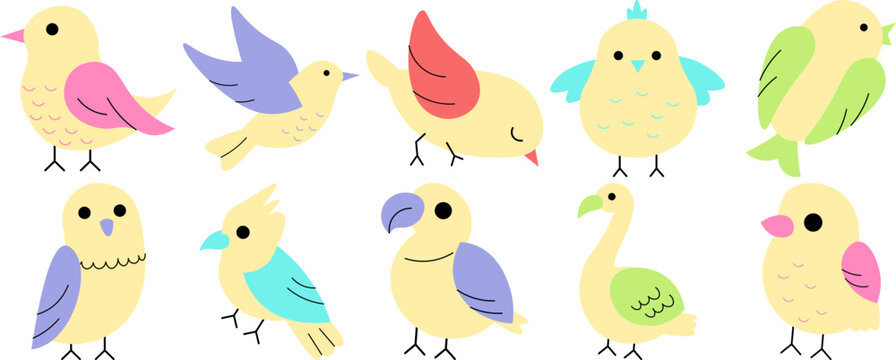 Cute Bird Character

