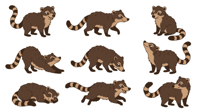 Cute coatimundi cartoon character poses set with brown coati walking running sleeping stretching and sitting isolated on white background