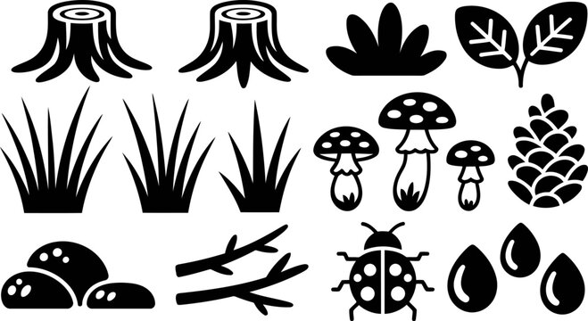 Black and white forest with tree stumps, leaves, mushrooms, and ladybug  vector, forest, nature