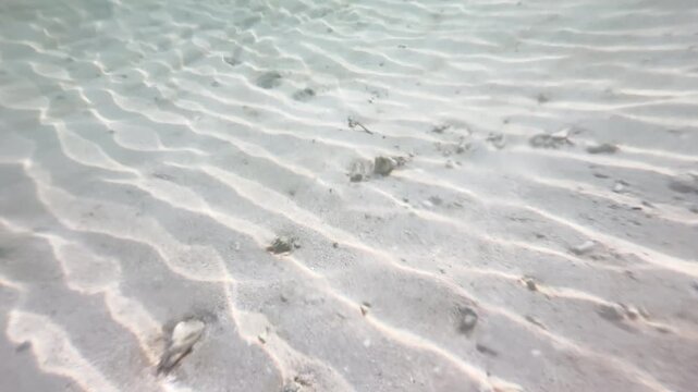 Close up underwater sandy seabed with ripple patterns and pebbles in shallow ocean, natural marine background, 4K_3_25s_0,35_IMG_0273_1,37_20260222.MOV.mov