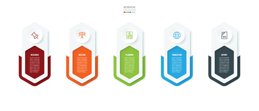 Business or marketing infographic template.