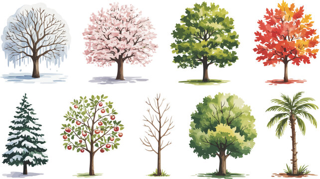 Eight diverse trees in different seasons and climates on a vector, transparent background