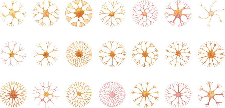 Group of diverse watercolor neuron cell in warm color palette vector, transparent background
