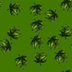 Obraz premium pattern green maple leaf hand drawn. green fall, foliage ground canada maple leaf vector sketch illustration