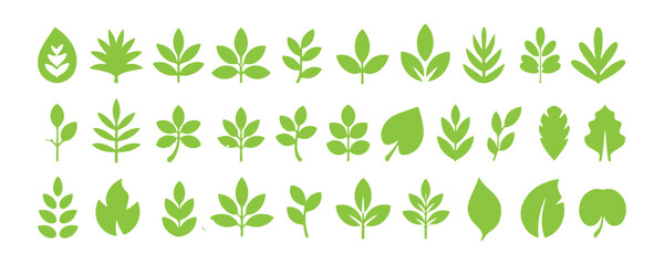 Fototapeta premium Lime green leaf icons collection in minimalist flat style isolated on transparent background set.