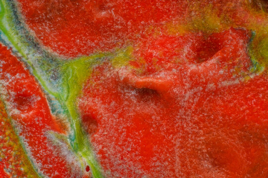 Viscous phase dominance and microstructural pigment flocculation in polymer fluid dynamics captured through microscope lens