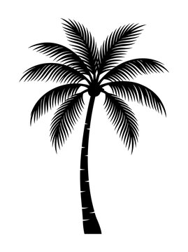 premium solid black coconut palm tree silhouette without coconuts isolated for onam ganesh chaturthi devotional branding festive advertising packaging and vector design