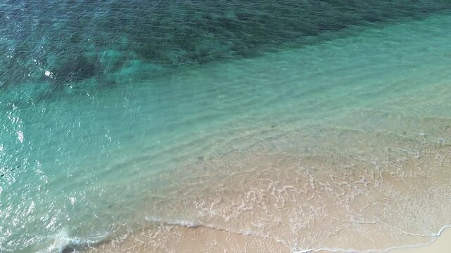Aerial View of Tropical Beach and Ocean