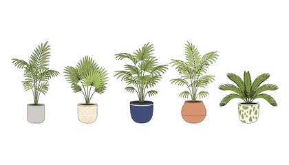 Fototapeta premium Collection of five tropical indoor plants displayed in distinct decorative pots of varying styles.