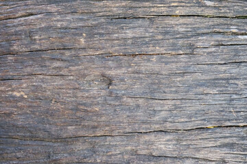 Fototapeta premium Rustic wood texture with weathered grain patterns and warm natural brown tones. Aged wooden surface ideal for furniture, flooring, wall panels, interior design, and architectural backgrounds.