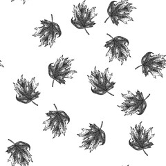 Obraz premium seamless pattern autumn maple leaf hand drawn. leaves vector, autumn maple leaf black sketch illustration
