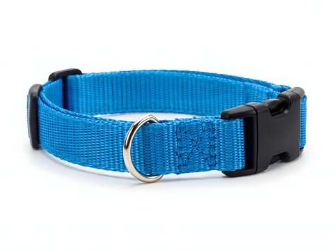 Blue mesh dog collar with black plastic buckle and D-ring for leash attachment
