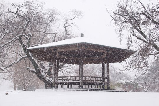 雪に包まれた木造あずまやが佇む静かな冬の風景  
Serene winter scene with a snow-covered wooden pavilion in a quiet park
