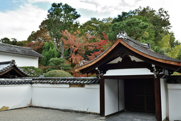 Fototapeta premium 東福寺塔頭 龍吟庵 南庭 無の庭(京都市東山区)