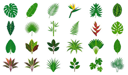 Colorful tropical leaf vector collection with exotic botanical foliage isolated on white background © DhoniChandra