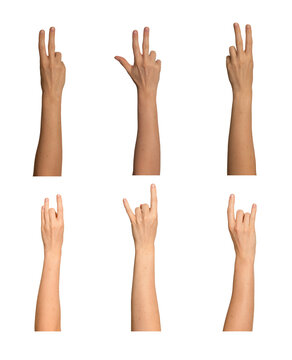 Female hand displaying victory sign with two fingers extended. Additional poses show three fingers,