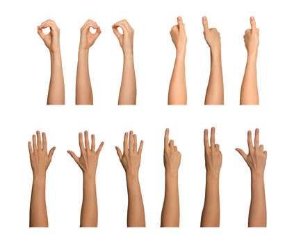 Female hand set showing multiple gestures with varied arm poses. Includes zero gesture, pointing