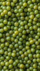 Obraz premium Fresh green grapes filling the frame create a natural organic fruit background rich in freshness and healthy nutrition.