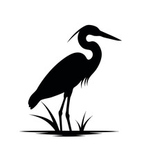 Fototapeta premium Heron Standing In Shallow Swamp Silhouette