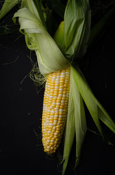 corn on the cob