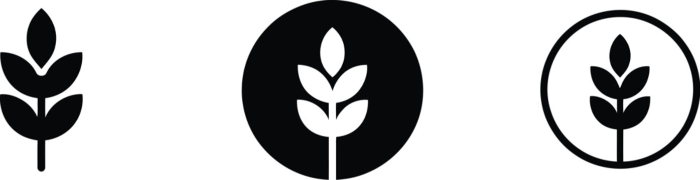 Wheat icons featuring grain, agriculture, farming, harvest, and organic food symbols in multiple vector styles