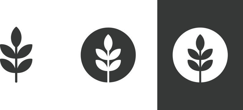 Wheat icons featuring grain, agriculture, farming, harvest, and organic food symbols in multiple vector styles