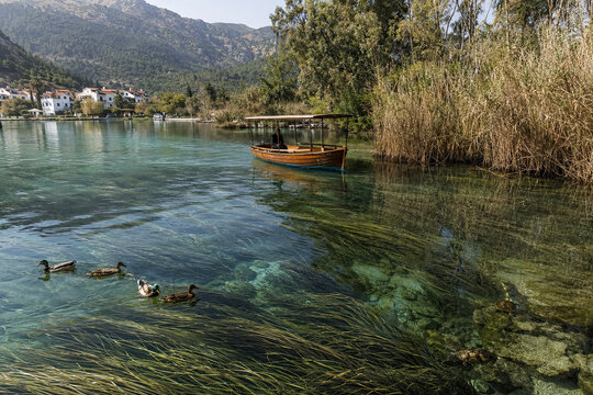 Swimmer in a crystal-clear mountain lake beside a quiet village waterfront.generative AI