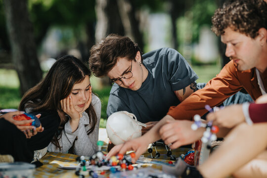 High school students study science together on a park blanket using anatomy and molecular models. The group of teens collaborate on a hands-on learning project outdoors.