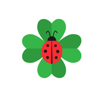 Ladybug on four leaf clover flat graphic