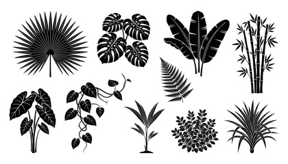 Plants with Various Leaf Shapes and Patterns in Black and White Illustration Featuring Leaves, Nature, Botanical with Design © Afjal12