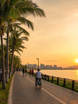 Cyclist riding beneath palms on a Hainan waterfront promenade at sunset.generative AI
