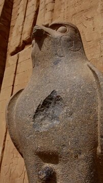 Ancient falcon statue representing Horus stands against temple walls covered in hieroglyphs at the Edfu Temple Complex, symbolizing power and divine protection. Egypt