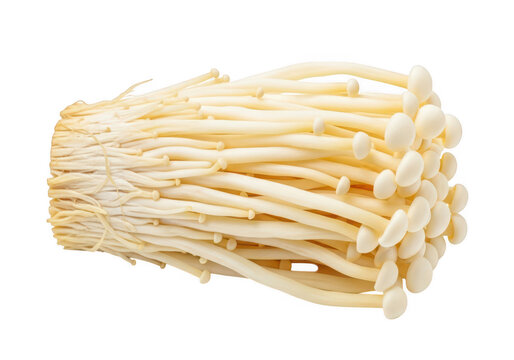 Fresh raw enoki mushrooms isolated on a simple surface for healthy cooking and food recipes