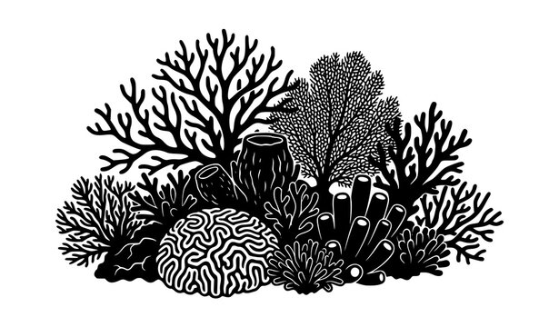 Detailed Tropical Coral Reef Silhouette Vector with Branching Brain Fan and Tube Coral Isolated on White Background for Marine Nature Design