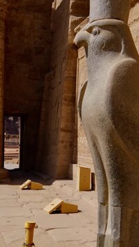 Ancient falcon statue representing Horus stands against temple walls covered in hieroglyphs at the Edfu Temple Complex, symbolizing power and divine protection. Egypt