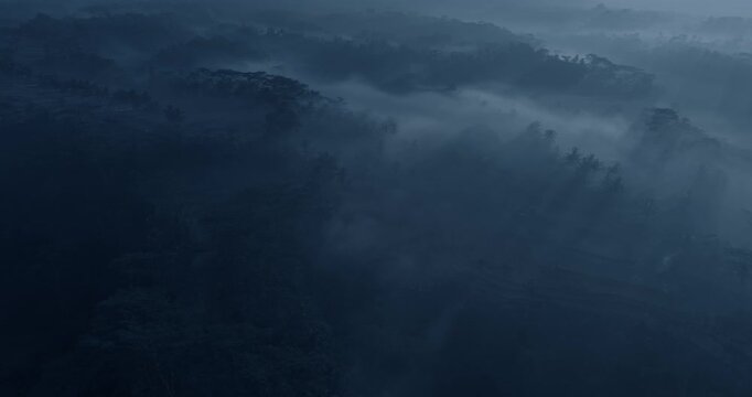 Flying above rice terraces and jungles in Indonesia at night. Panoramic camera movement
