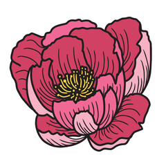 Obraz premium Romantic PFlower Floral Line Art Blooming Collection