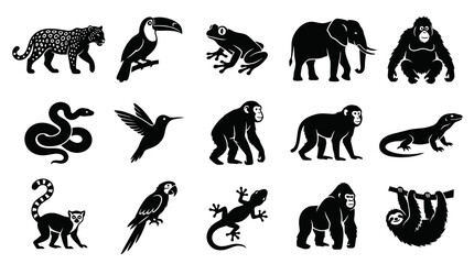 Fototapeta premium Black White Glyph Icons of Tropical Animals, Nature Wildlife Vector Set