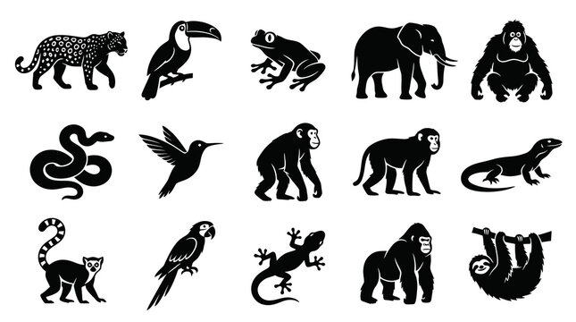 Black  White Glyph Icons of Tropical Animals, Nature  Wildlife Vector Set