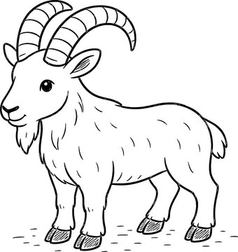 The mountain goat is a sure-footed mammal native to rugged mountain regions of North America. Known for its thick white fur and impressive climbing abilities, it thrives in steep, rocky habitats