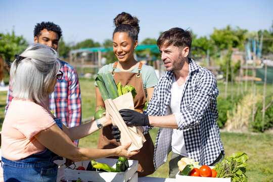 People buying fresh organic vegetables at market