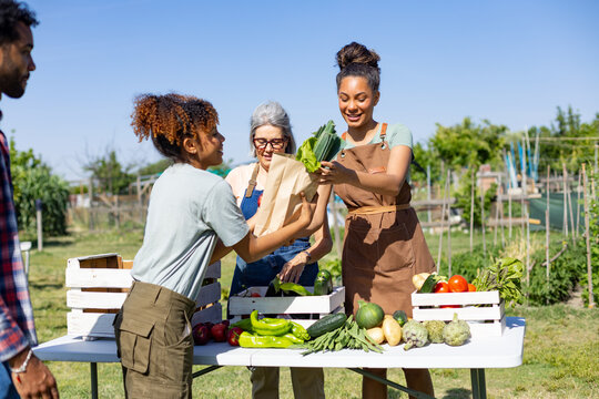Diverse women selling organic vegetables at outdoor market stall